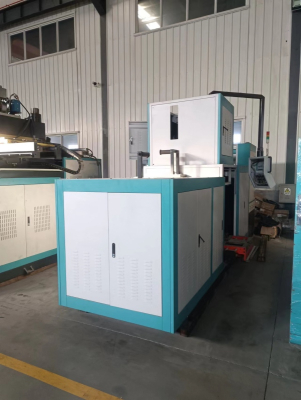 Duplex Plate Vulcanizing Machine